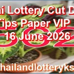 Thai Lottery Cut Digit 3d Tips Paper VIP HTF 16 June 2026