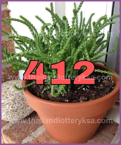 Thai Lottery Cut Digit 3d Tips Paper VIP HTF 16 June 2026