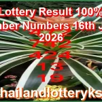 Thai Lottery Result 100% Sure Number Numbers 16th June 2026