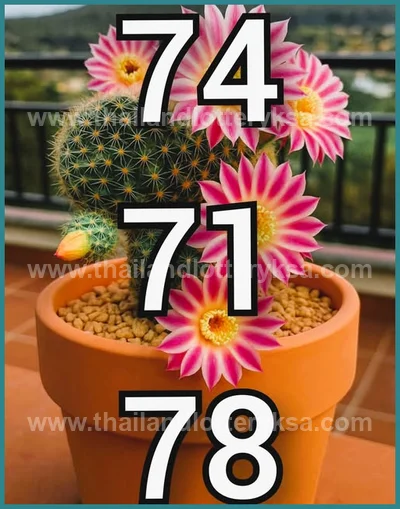 Thai Lottery Result 100% Sure Number Numbers 16th June 2026