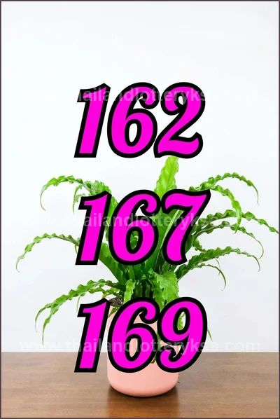 Thai Lottery Result 100% Sure Number Numbers 16th June 2026