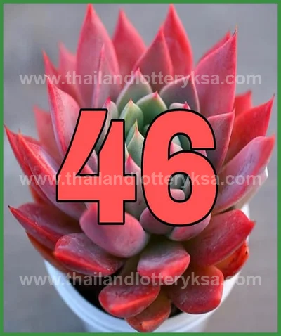 Thai Lottery Result 100% Sure Number Numbers 16th June 2026