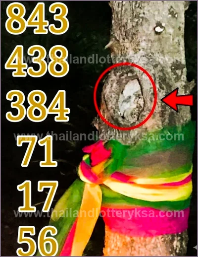 Thailand Lottery Down Numbers Direct Game Lucky 1 July 2026